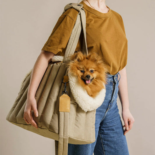 Pet  Carrier Light Bag