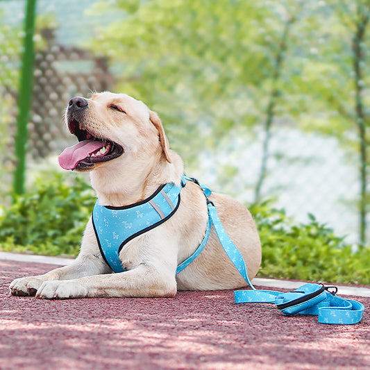 Pet Leash Harness With Bow